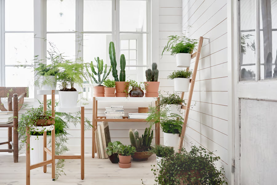 SATSUMAS Plant stand, bamboo/white, 30 ¾ "